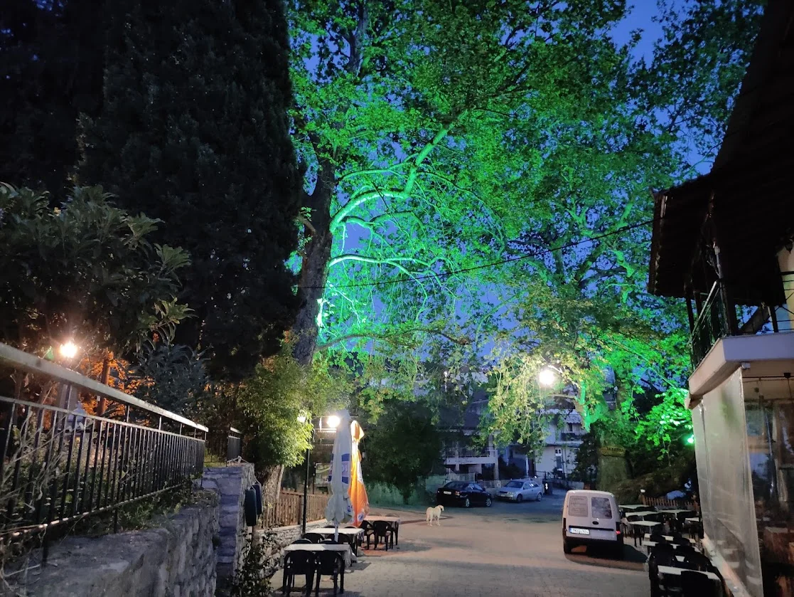 Πλατεία Ελαιώνα
